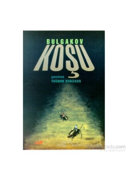 Koşu-Mihail Afansyeviç Bulgakov
