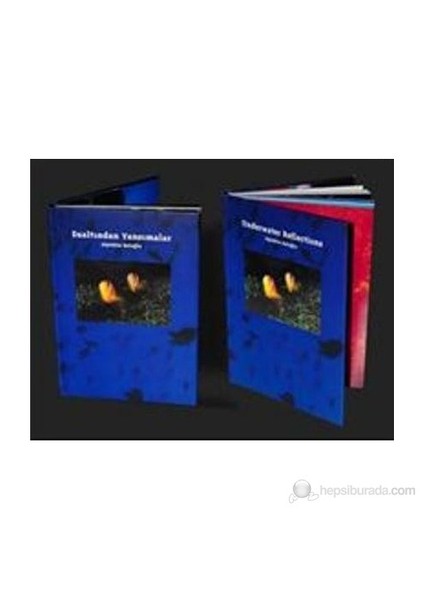 Underwater Reflections