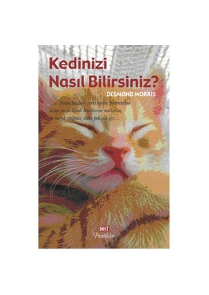 Kedinizi Nasıl Bilirsiniz?