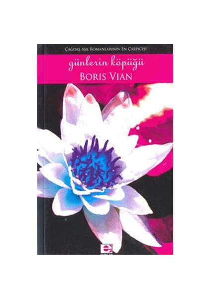 Günlerin Köpüğü - Boris Vian