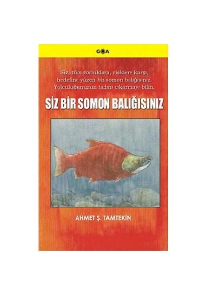 Siz Bir Somon Balığısınız