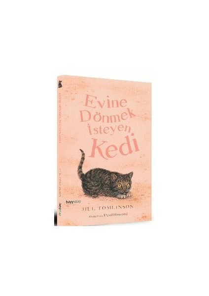 Evine Dönmek İsteyen Kedi