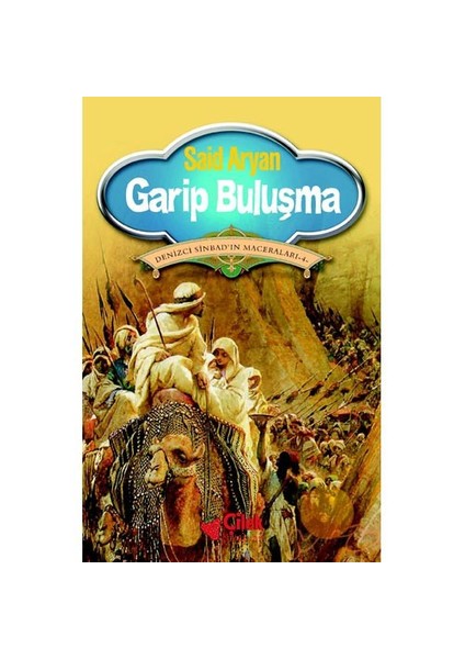 GARİP BULUŞMA