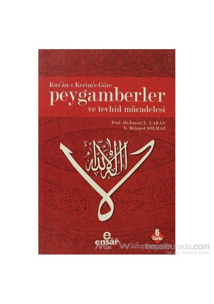 Kur''an-I Kerim''e Göre Peygamberler Ve Tevhid Mücadelesi - N. Mehmet Solmaz