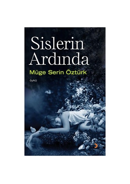 Sislerin Ardında