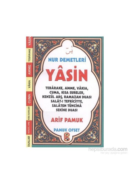 Nur Demetleri Yasin-Null