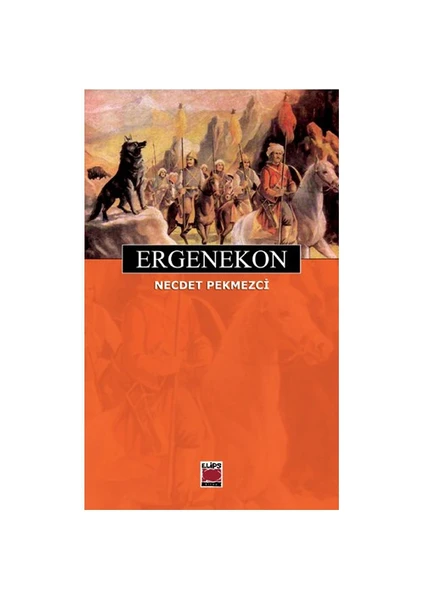 Ergenekon-Necdet Pekmezci