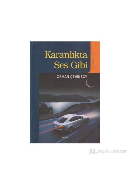 Karanlıkta Ses Gibi