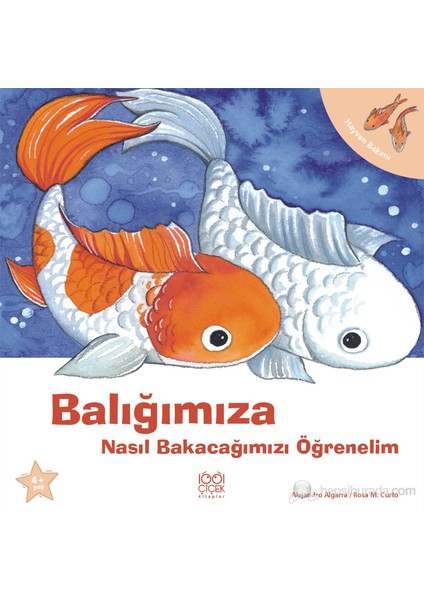 Balığımıza Nasıl Bakacağımızı Öğrenelim-Alejandro Algarra