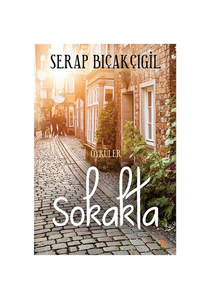 Sokakta-Serap Bıçakçıgil