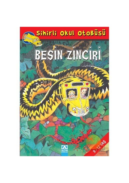 BESİN ZİNCİRİ