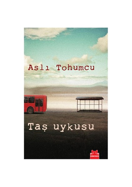 Taş Uykusu - Aslı Tohumcu