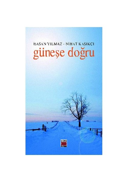 Güneşe Doğru-Hasan Yılmaz