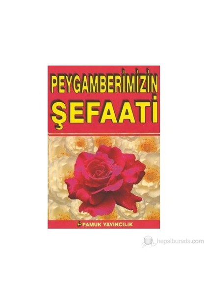 Peygamberimizin Şefaati (Peybamberler-008/P9)