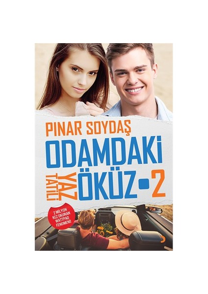 Odamdaki Öküz 2-Pınar Soydaş
