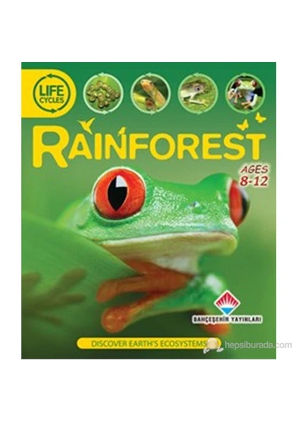 Life Cycles - Rainforest (Discover Earth'S Ecosystems)-Sean Callery