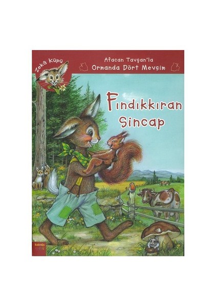 FINDIKKIRAN SİNCAP