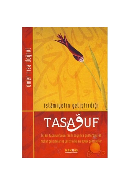 İslamiyetin Geliştirdiği Tasavvuf