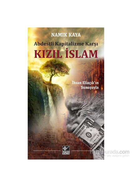 Abdestli Kapitalizme Karşı: Kızıl İslam-Namık Kaya