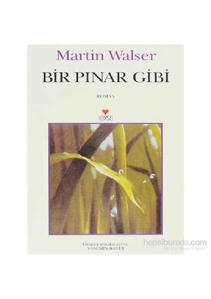Bir Pınar Gibi - Martin Walser