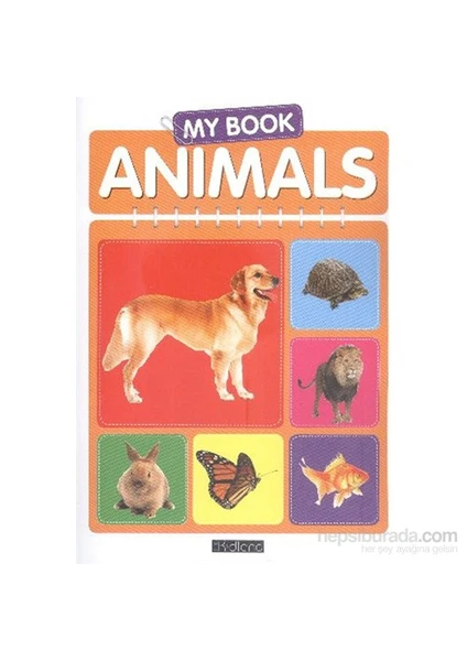 My Book Animals