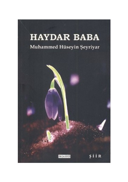 Haydar Baba