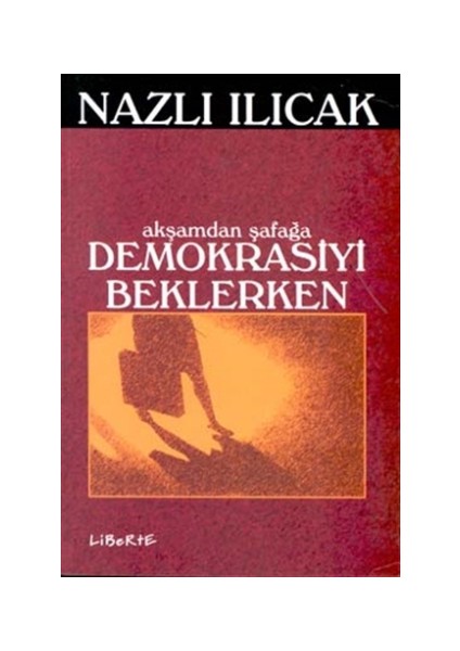 Akşamdan Şafağa Demokrasiyi Beklerken