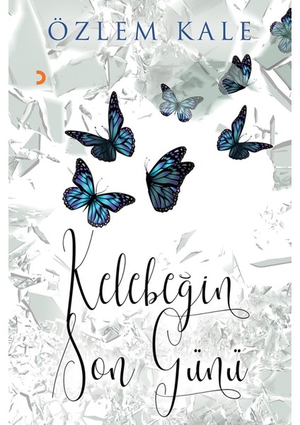 Kelebeğin Son Günü