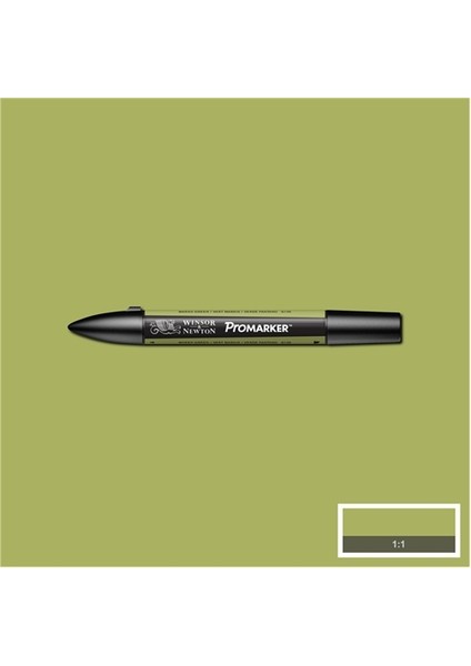 Winsor Newton Promarker Marsh Green G136