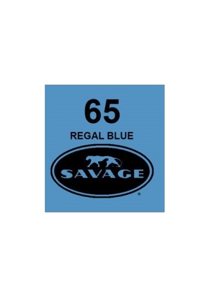 Stüdyo Kağıt Fon Regal Blue 271x1100 cm