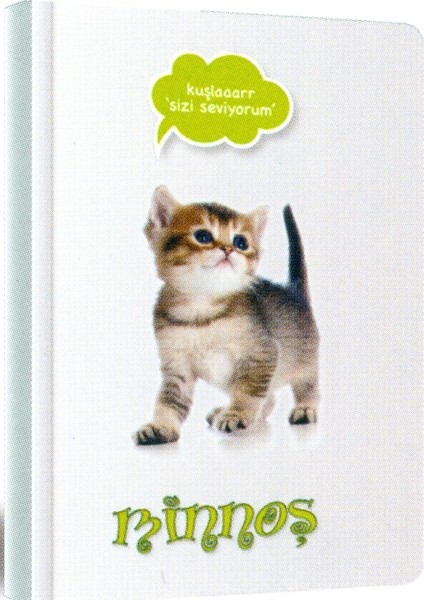 Papernote Cute 13*21 96 Yaprak Çizgili Defter