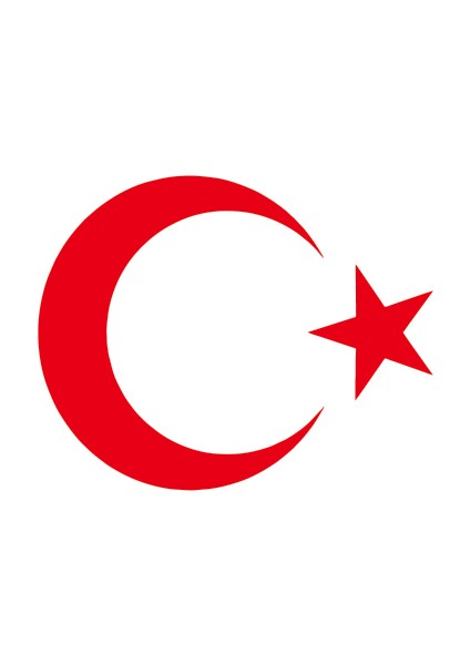 Türk Bayrağı Oto Sticker - 10x8 cm