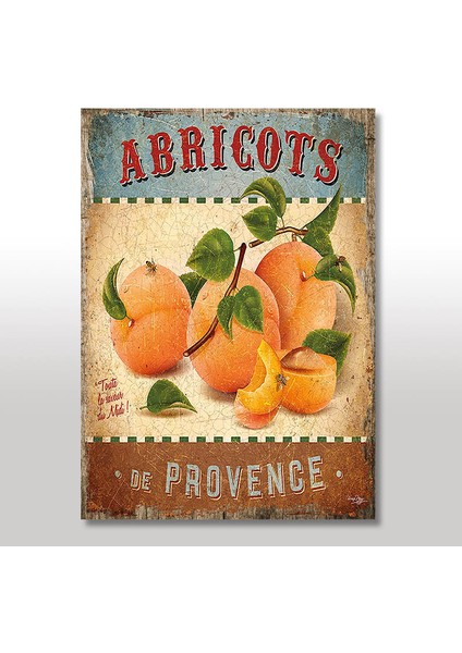 Ahşap Tablo Dalından Koparılmış Kayısı Desenli