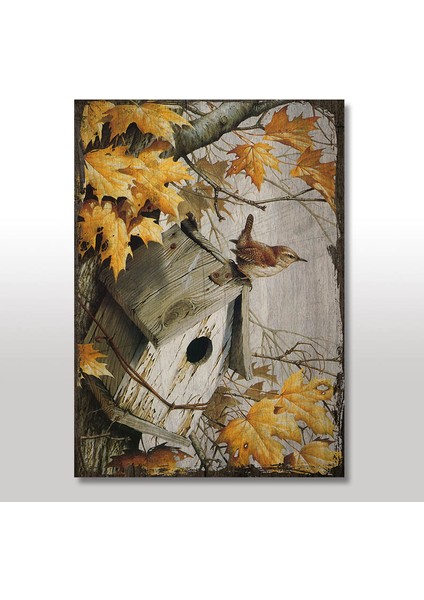Ahşap Tablo Çınar Ağacında Kuş Kulubesi