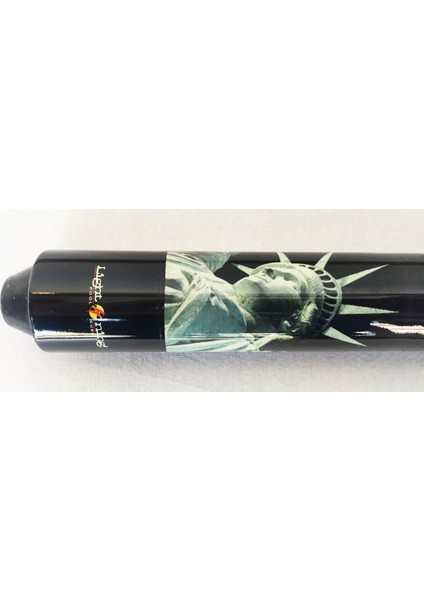 Profesyonel Amerikan Bilardo Istakası