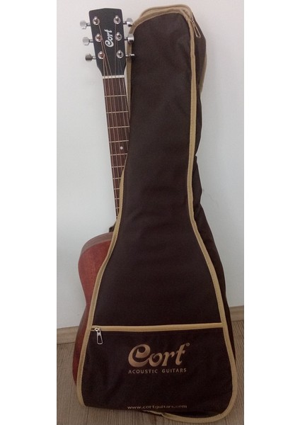 Akustik Gitar Çantalı