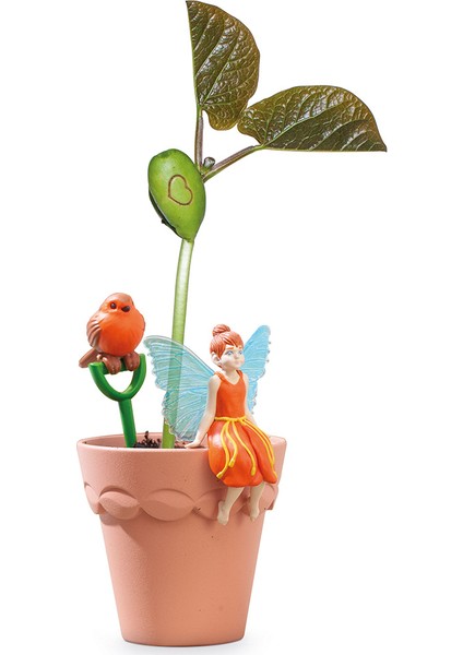 Mini Peri Saksısı Turuncu