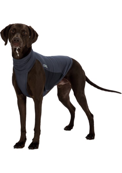 Haşere Kovucu Köpek Kıyafeti Xs