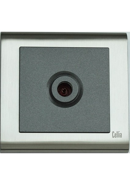 Cellia Tv Priz Füme Kapak Saten Çerçeve