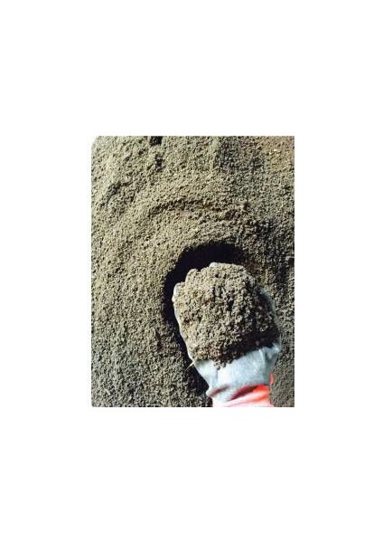 Organik Atıklarla Zenginleştirilmiş Separatör Solucan Maması 100 Kg
