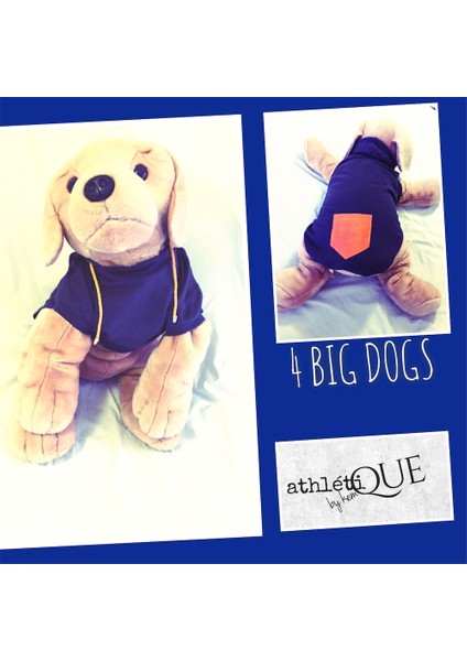 Athletıque Sweat - Lacivert - Büyük Irk İçin fiyatları