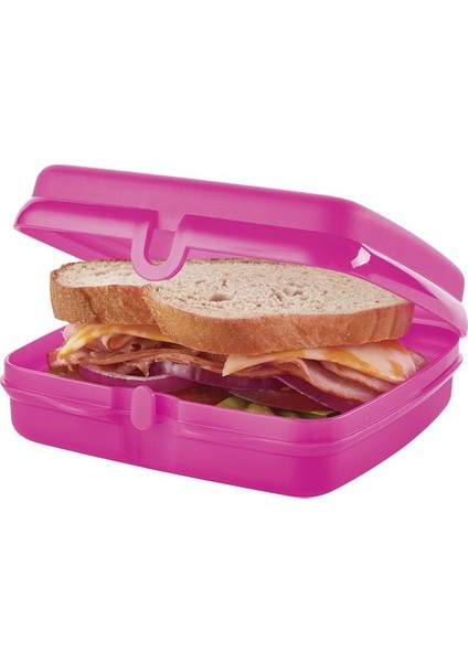 Pembe Sandviç Kutusu
