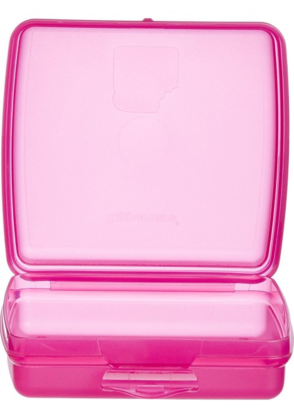 Pembe Sandviç Kutusu