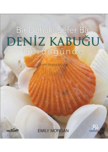 Bir Dahaki Sefer Deniz Kabuğu Gördüğünde - Next Time You See A Seashell