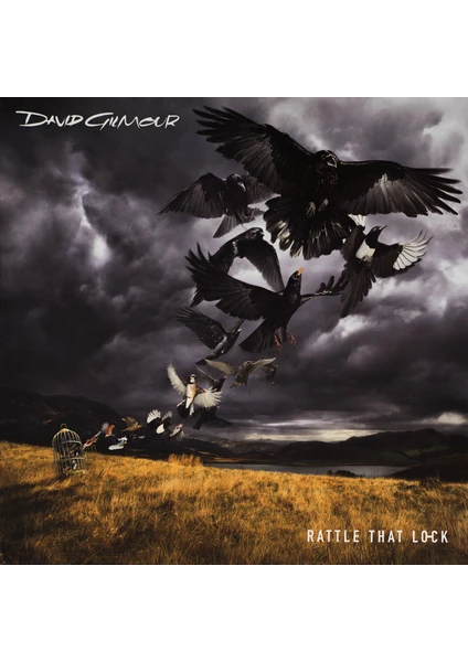 David Gilmour ‎– Rattle That Lock Plak