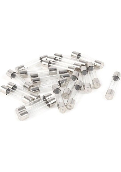 2 Amper Büyük Cam Sigorta 6x30mm - 100 Adet