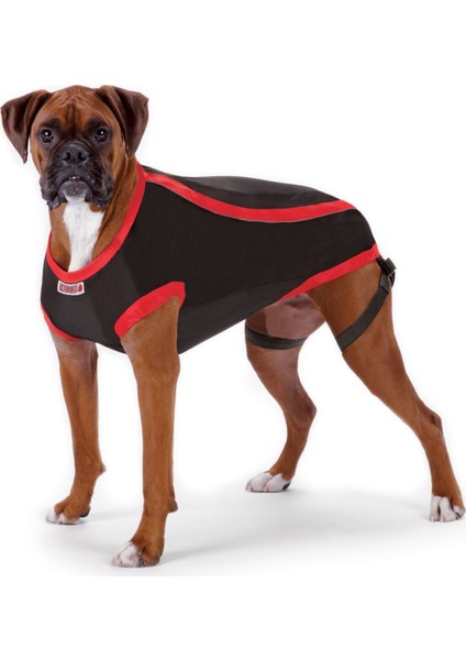 Köpek Anksiyete Giderici Elbise XL