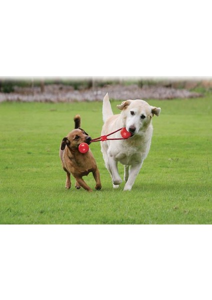 Köpek Tutamaçlı Sesli Oyun Topu L 32cm