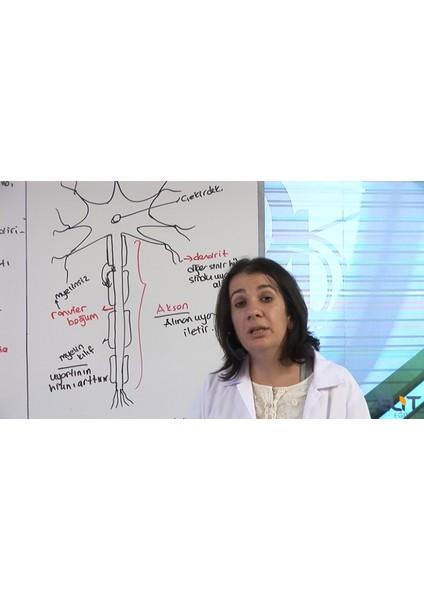 Lise 12.Sınıf Biyoloji Görüntülü Eğitim Seti fırsatları