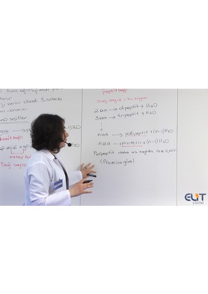 Elit 9. Sınıf Biyoloji Görüntülü Eğitim Seti (64 GB USB Bellek İçerisinde) modelleri
